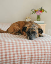 Dog lying on a bed with checkered sheets, flowers in the background